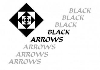  ABA Archery Black Arrows